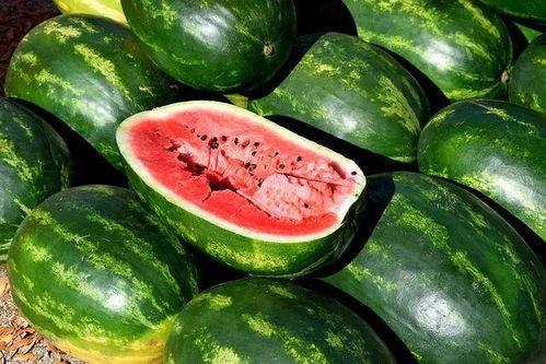 校园吃瓜视频素材下载大全,一网打尽校园生活趣味瞬间