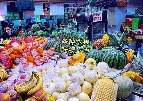 吃瓜视频郑州,揭秘城市生活百态