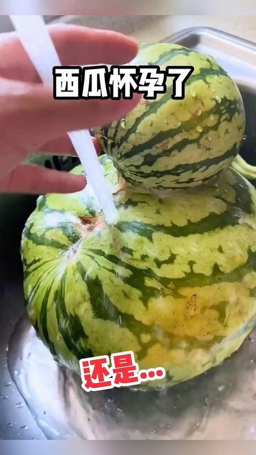 搞笑带货吃瓜视频大全,笑料百出！搞笑带货吃瓜视频大盘点