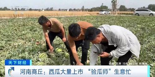 西宁两个阿爸吃瓜视频,两位阿爸欢乐吃瓜，引网友热议