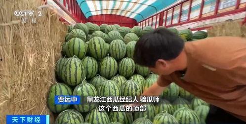 深圳一中吃瓜视频,揭秘校园生活趣味瞬间