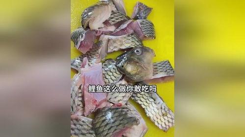 吃瓜娱乐小鲤鱼视频大全,吃瓜娱乐，欢乐无限