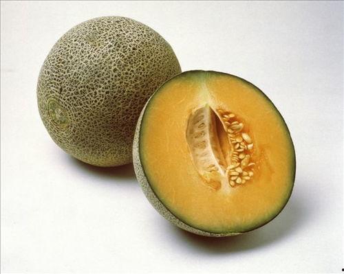 吃甜蜜瓜视频大全,尽享夏日清凉美味瞬间